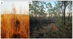Red‐backed fairywrens adjust habitat use in response to dry season fires
